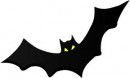 Open Bats in Churches